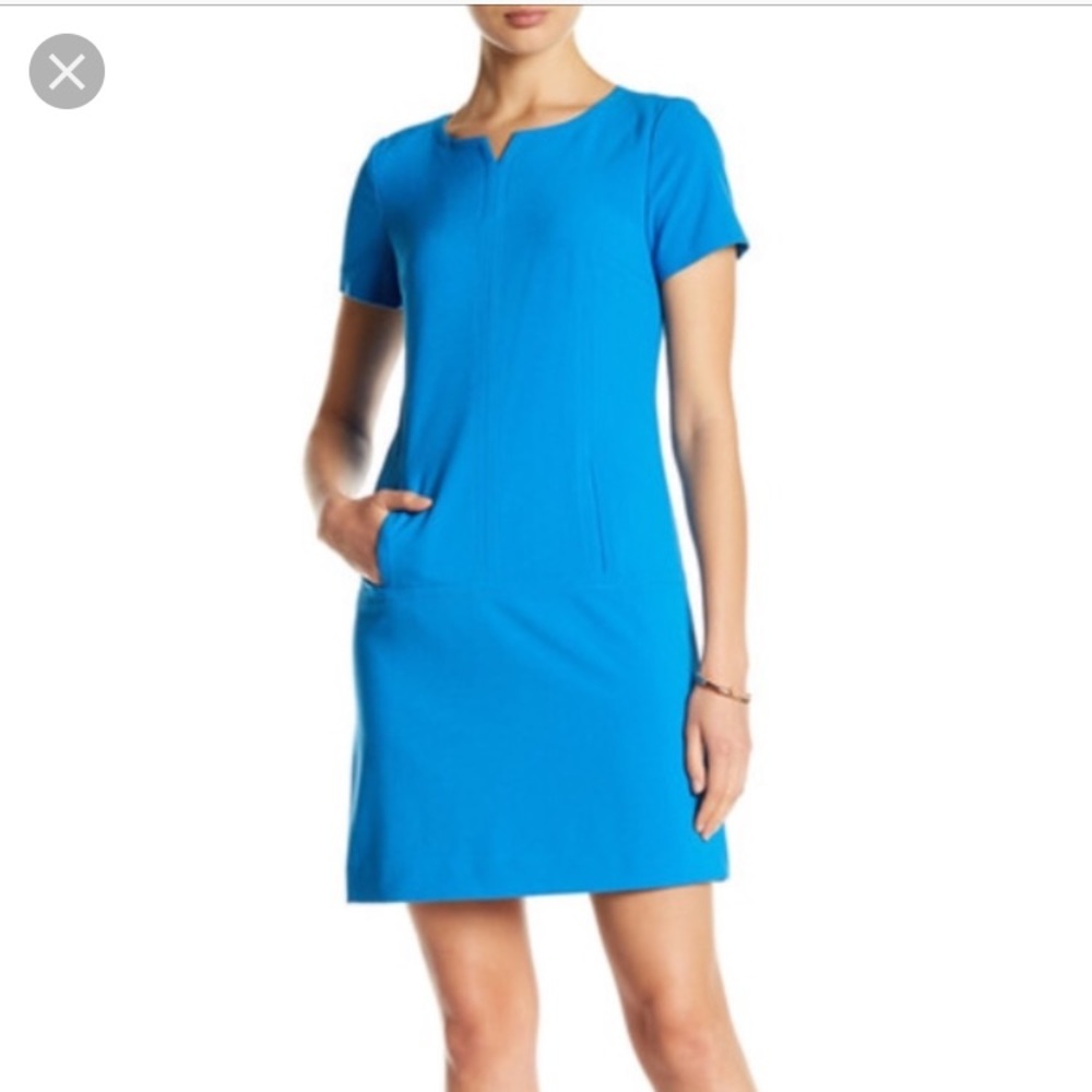 IT HAS POCKETS Tahari Shift Dress